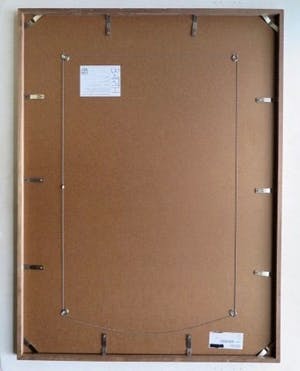 Leentje Linders - Apollo 13 - De bijna 'rampvlucht' naar de maan in 1970 - Professioneel ingelijst kopen? Bied vanaf 1!