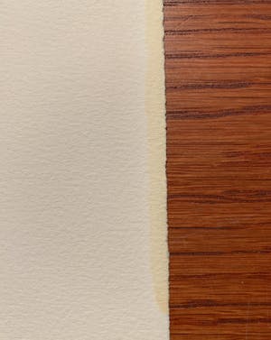 Michel Delacroix - La Chasse d'Hiver kopen? Bied vanaf 40!