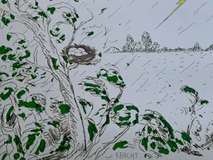 Pieter Holstein - Ets Kracht kopen? Bied vanaf 40!