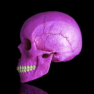 Mr. Strange - Death in Purple verkocht voor € 60!