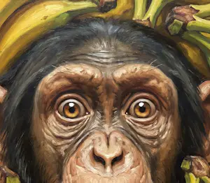 Mr Strange - Overvallen kopen? Bied vanaf 85!