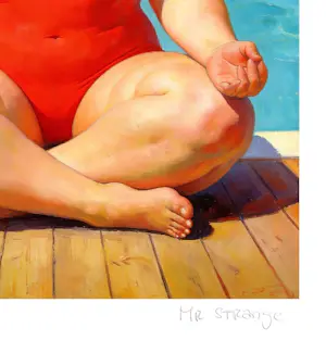 Mr Strange - Zwitserland, wat een prachtig land! kopen? Bied vanaf 85!