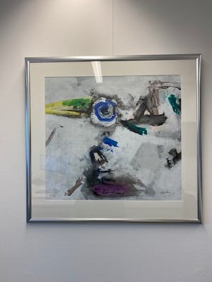 Nico Molenkamp - Vogel kopen? Bied vanaf 50!