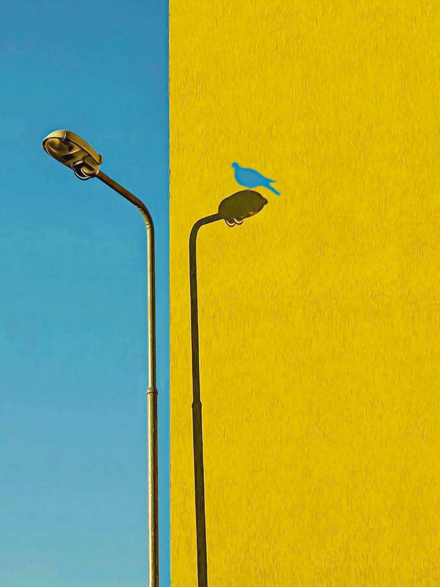 Mr Strange - De blauwe vogel kopen? Bied vanaf 85!