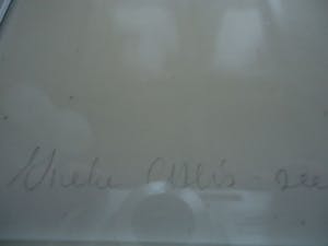 Ineke Calis - tien groen kopen? Bied vanaf 1!