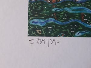 Pjeroo Roobjee - Gesigneerde kleurrijke zeefdruk - Superbaby - !!! kopen? Bied vanaf 60!