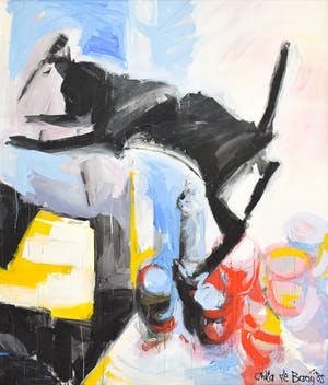 Anita de Baaij - Kat kopen? Bied vanaf 1!