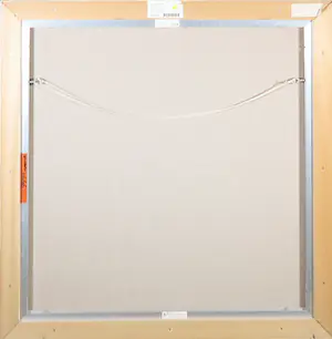 Anne Barneveld - Acryl op doek, Buiteling - Ingelijst kopen? Bied vanaf 100!