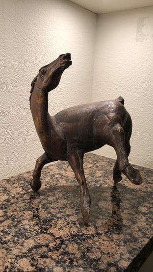 Jos Dirix - Steigerend paard kopen? Bied vanaf 900!