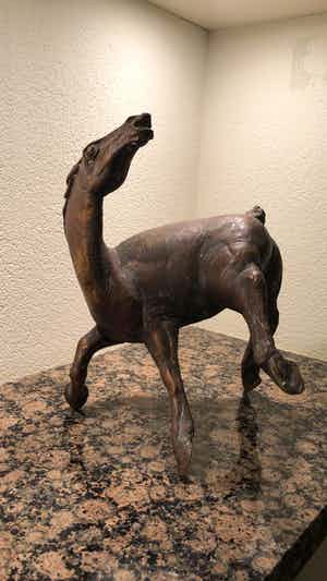 Jos Dirix - Steigerend paard verkocht voor € 900!