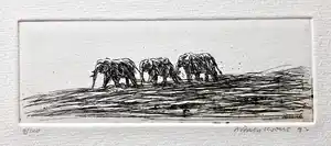 Simon Koene - Drie olifanten in vlakte verkocht voor € 30!