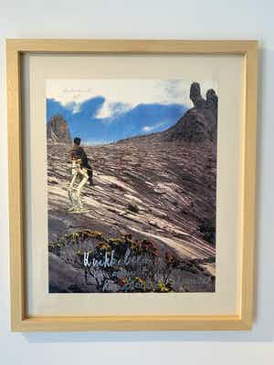 Panamarenko - Knikkebeen verkocht voor € 1!