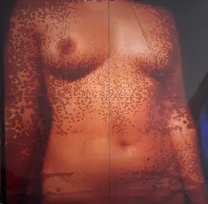 Anne Kreiter - Female Body kopen? Bied vanaf 120!