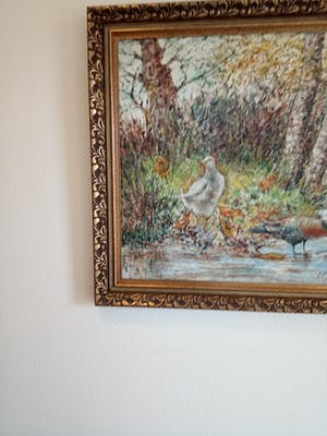 Hein Janning - Eendjes in /aan het water. kopen? Bied vanaf 40!