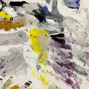 Nico Molenkamp - Vogel kopen? Bied vanaf 38!