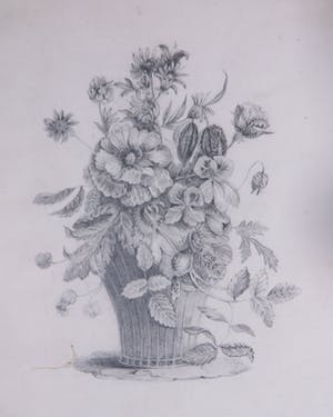 Niet of onleesbaar gesigneerd - Lot, Diverse (pen)tekeningen van bloemen en planten [8] kopen? Bied vanaf 1!