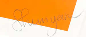 Shunyam - Zeefdruk, Daydream - Ingelijst kopen? Bied vanaf 50!