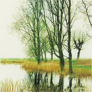 Wanda Werner - Piëzografie, Groningen, vroege lente - Ingelijst kopen? Bied vanaf 1!