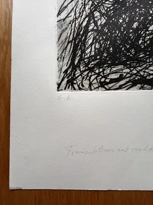 Max Uhlig - Mooie ets - gesigneerd, getiteld, gedateerd en genummerd - 78/80 kopen? Bied vanaf 95!