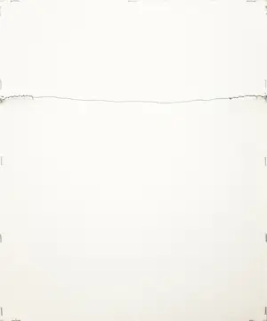 Jan Schonk - Twee zilverreigers kopen? Bied vanaf 75!