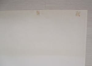 Curiosa - Italiaans filmaffiche: James Bond 007, Thunderball, Sean Connery (1965) kopen? Bied vanaf 1!