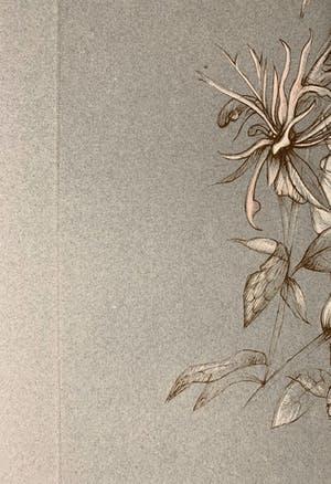 Leonor Fini - Fleur kopen? Bied vanaf 30!