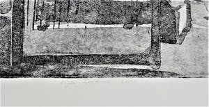 Hans Siegmund - vogelkooi kopen? Bied vanaf 60!