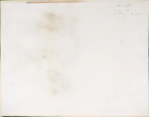 Leo Jinssen - Pentekening, Mannetje kopen? Bied vanaf 1!