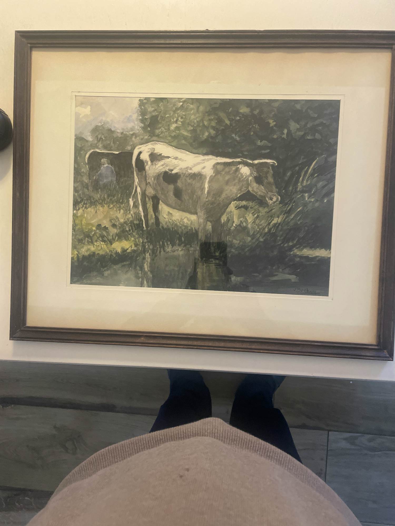 Wim van Beekum - Koe in beek kopen? Bied vanaf 100!