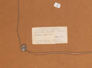 Wim Beuning - Zonder titel kopen? Bied vanaf 175!