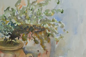 Elly Koopman - Stilleven Pots and plants kopen? Bied vanaf 50!