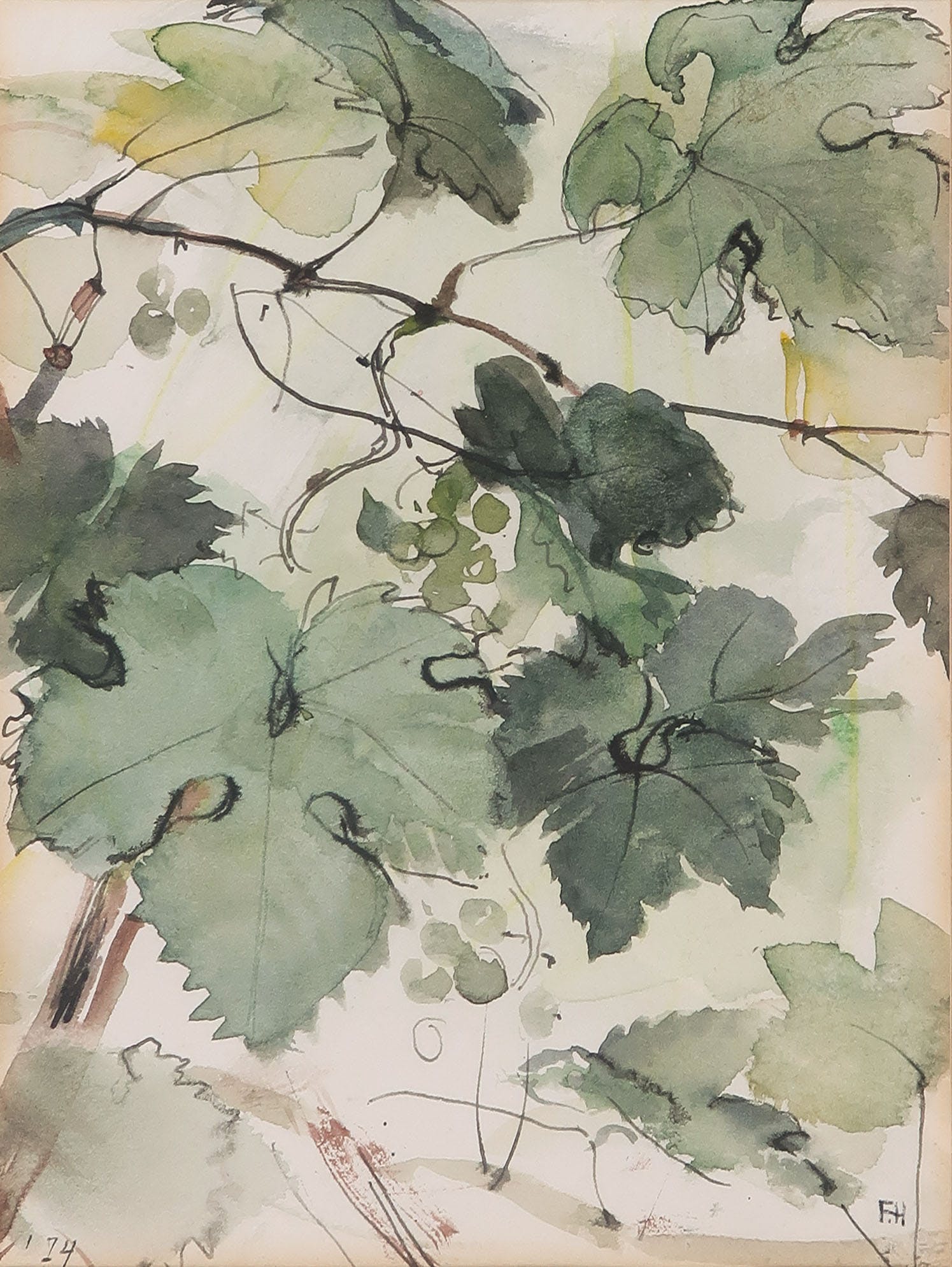 Frida Holleman - Aquarel, Druivenbladeren - Ingelijst kopen? Bied vanaf 35!