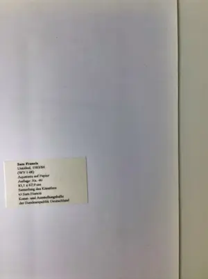 Sam Francis - Twee originele persfoto's Duitsland - 1993 kopen? Bied vanaf 58!