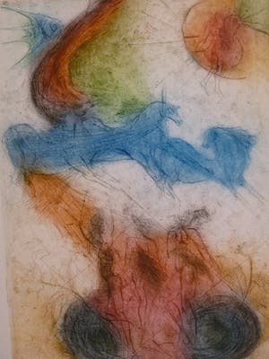 Sam Parabirsingh - POSE DU SOLEIL MET EUROSIENTJE/ POSE DU SOLEIL MET ZWAARDVIS kopen? Bied vanaf 75!