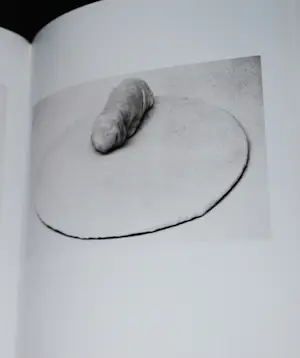 Joseph Beuys - Overzicht werken 1945-1985, hardcover in duitse taal kopen? Bied vanaf 50!