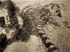 Niet of onleesbaar gesigneerd - Fraaie droge naald Ets - ringstaart Maki - zeer kleine oplage (6) - gesigneerd kopen? Bied vanaf 1!