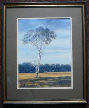 Niet of onleesbaar gesigneerd - Berkenboom in heidelandschap -aquarel- kopen? Bied vanaf 1!