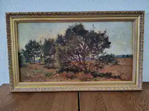 Adriaan Keus - Heidelandschap met dennen verkauft für € 300!