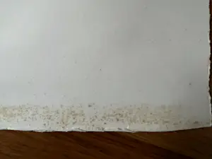 Jan Cremer - MAE WEST kopen? Bied vanaf 135!