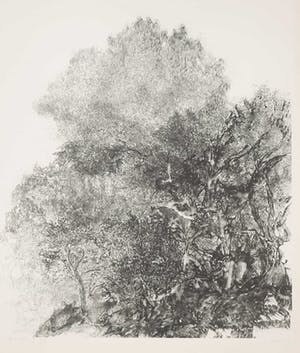 Jaap Kruijff - Litho, Verbrand bos kopen? Bied vanaf 1!