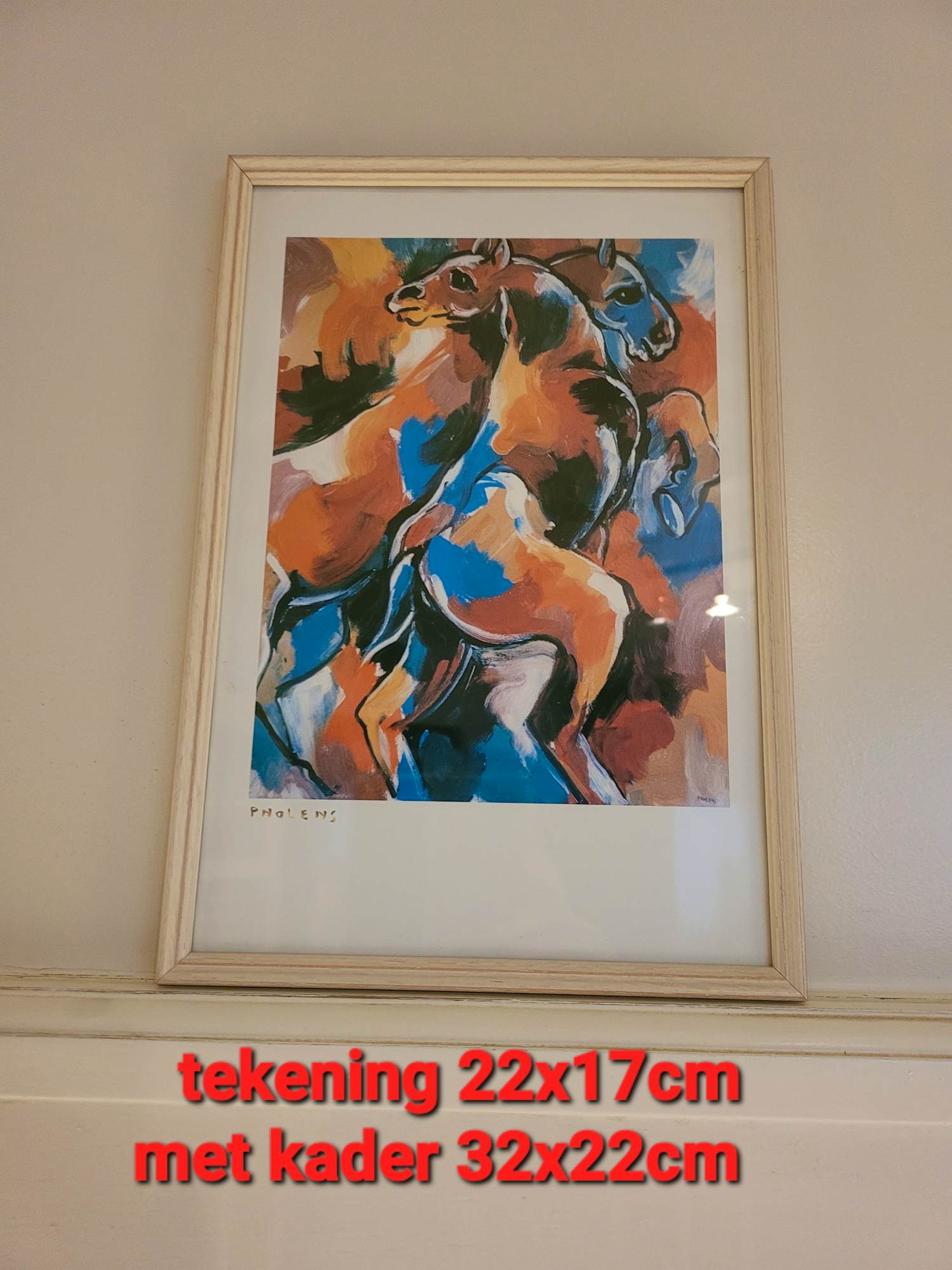 Paule Nolens - paarden kopen? Bied vanaf 100!