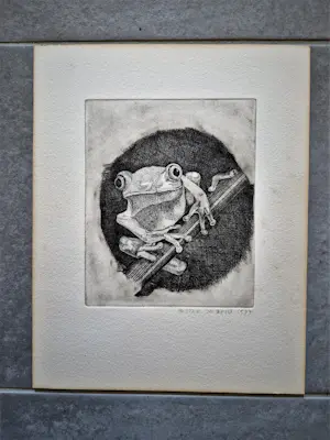 Hester de Beus - Leuke 1977 E.A. droge naald Ets "(gif)Kikker op tak" gesigneerd kopen? Bied vanaf 28!