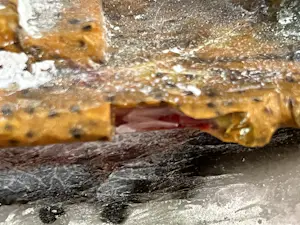 Jehoshua Rozenman - ZONDER TITEL kopen? Bied vanaf 150!