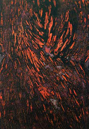 Yoshiko Noma - Champ IV, ets verkocht voor € 125!