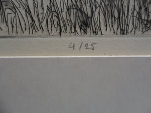 Piet Hein Zijl - Droge naald. Titel, Linschoten. kopen? Bied vanaf 20!