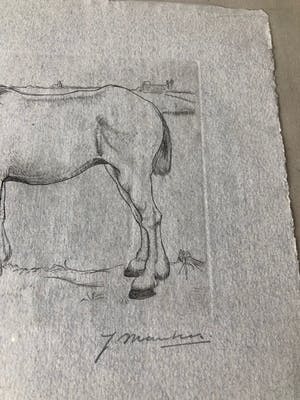 Jan Mankes - ets Paard - 1917 kopen? Bied vanaf 450!