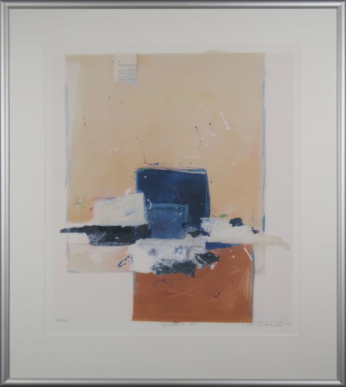 Ron van der Werf - Ron van der Werf: Zeefdruk, Symfonie II - Ingelijst verkocht voor € 40!