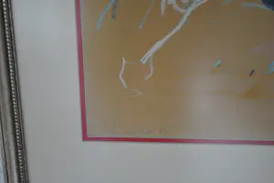 Jan van Diemen - Amerikaanse football speler. kopen? Bied vanaf 200!