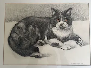 Ella van Schaik - Poes ! kopen? Bied vanaf 1!