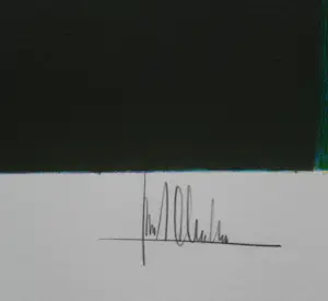 Ton Schulten - zeefdruk: herfsttooi - 2001 kopen? Bied vanaf 475!